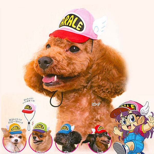 귀여운 강아지 모자 코스튬 가챠 : 닥터슬럼프 아리 (아라레)샐러드마켓