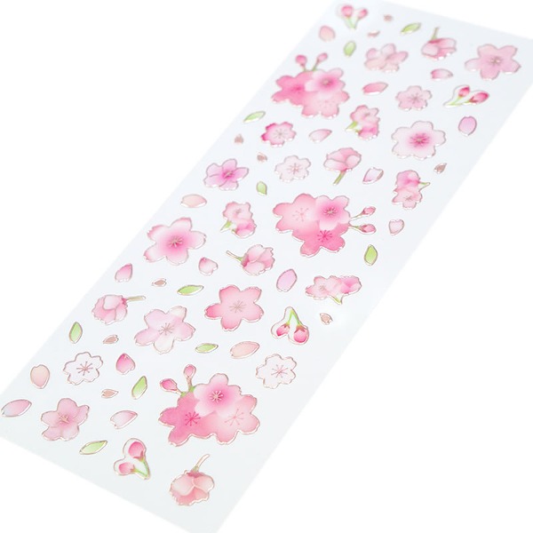클로즈핀 봄 클리어 스티커 : 벚꽃 003샐러드마켓