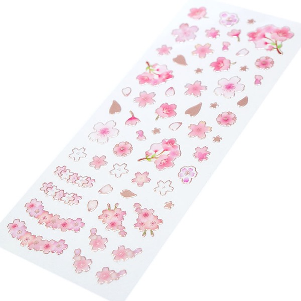 클로즈핀 봄 클리어 스티커 : 벚꽃 004샐러드마켓