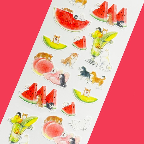 액티브 여름 화지 스티커 : 시바견 과일샐러드마켓